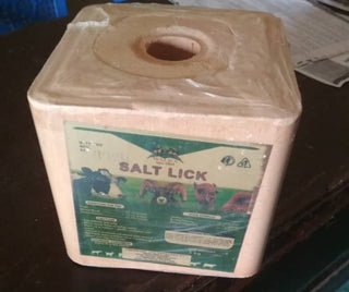 Salt Lick