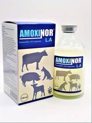 Amoxinor L.A